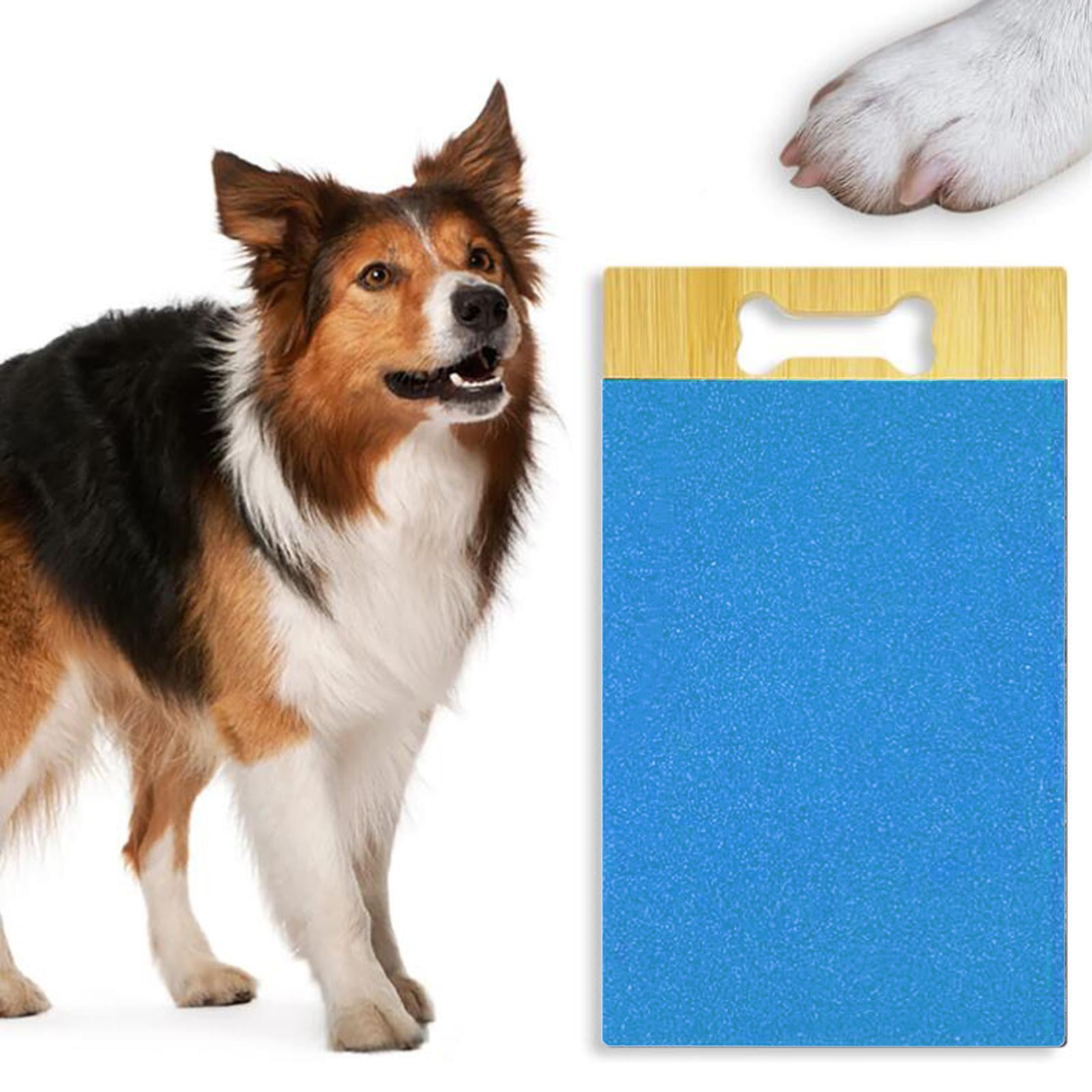 Dog Nail File Board - Temu